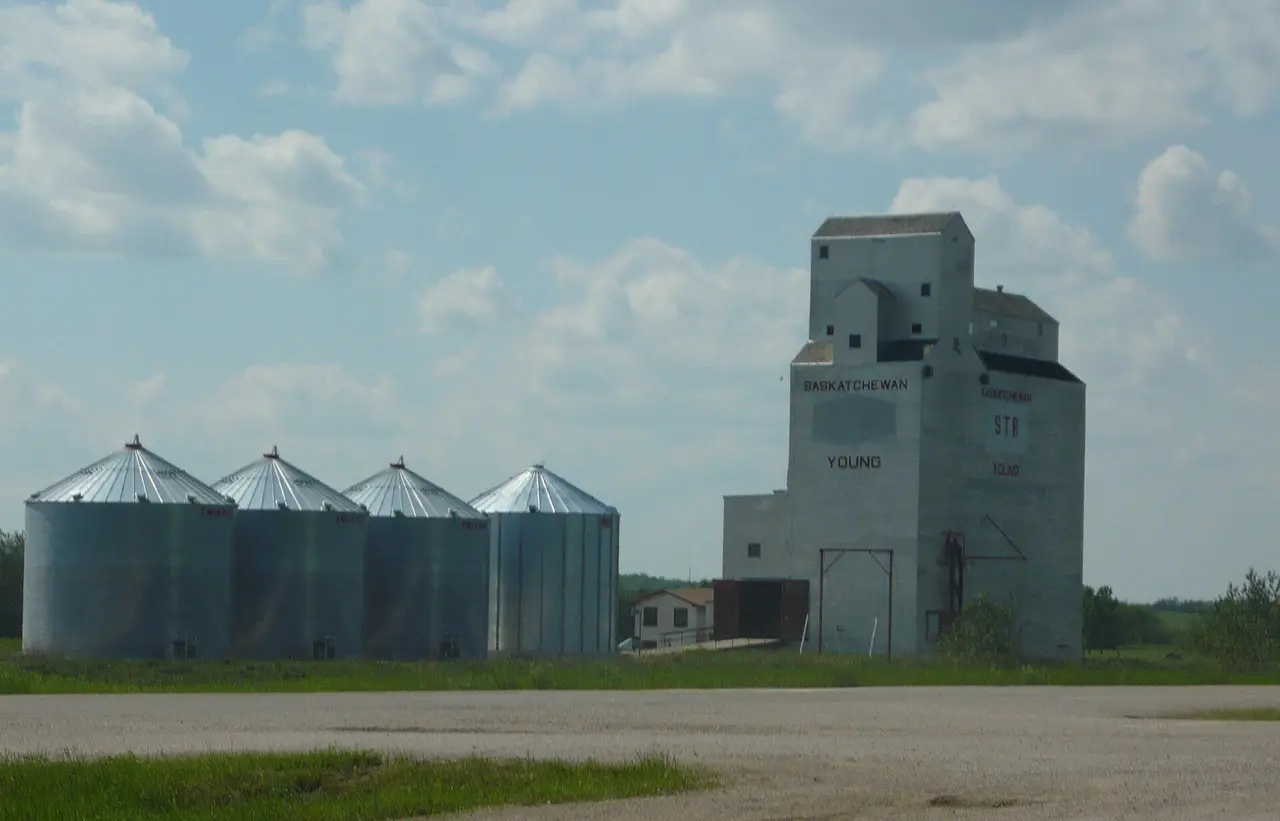 The grain elevator at Young, 2010